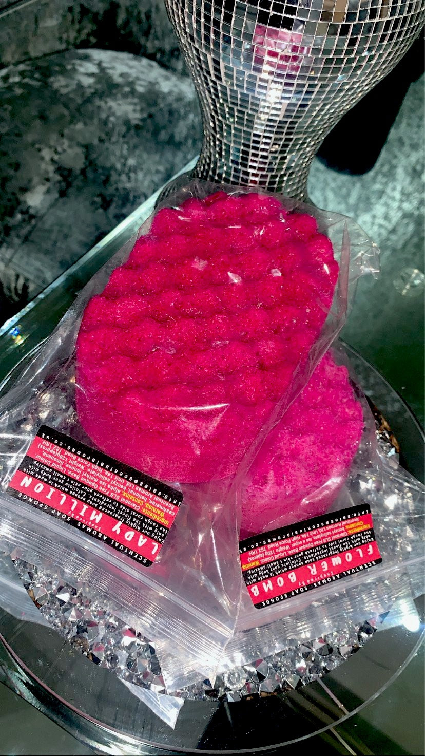 Soap Sponges