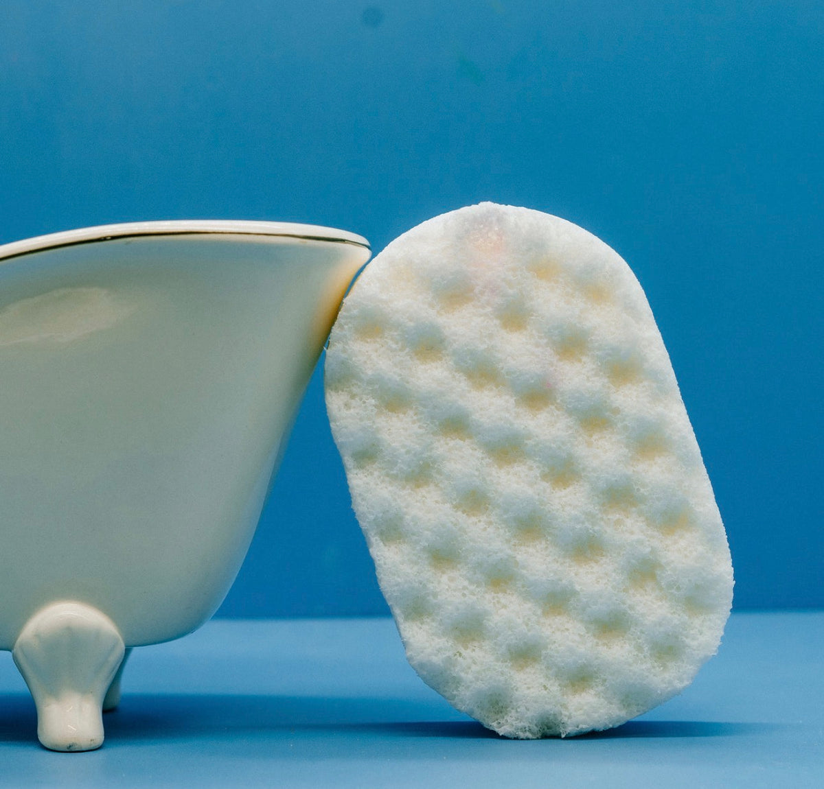 Soap Sponges